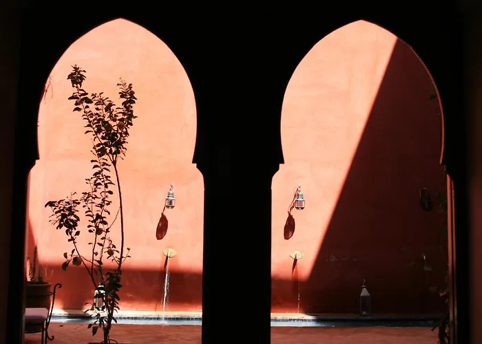 Riad Honey